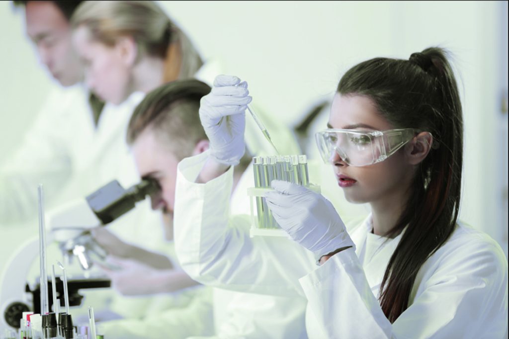 Procesos dinámicosy constructivos